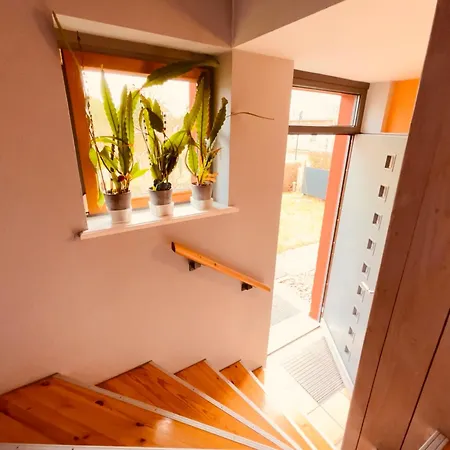 Aalreuse 아파트 *